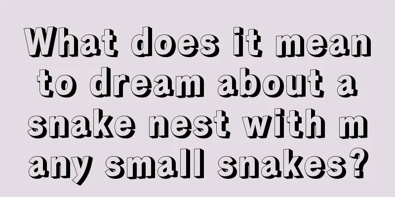 What does it mean to dream about a snake nest with many small snakes?