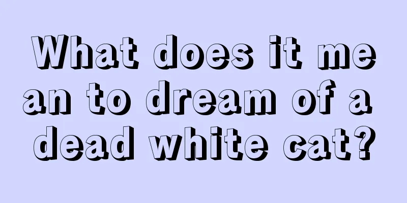 What does it mean to dream of a dead white cat?