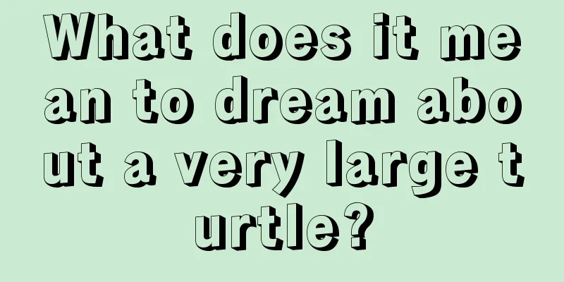 What does it mean to dream about a very large turtle?