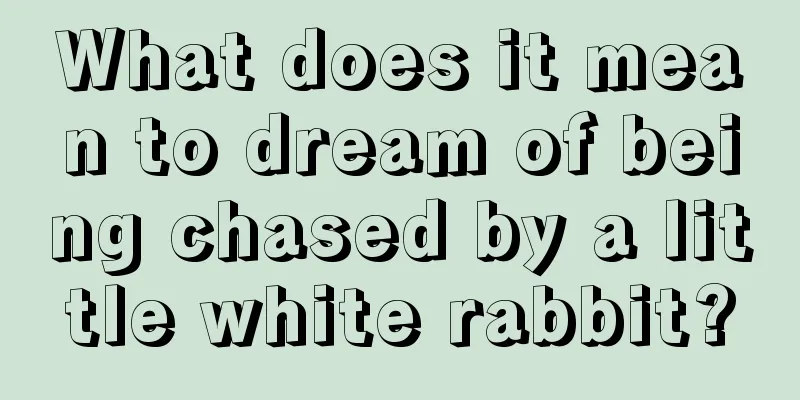 What does it mean to dream of being chased by a little white rabbit?