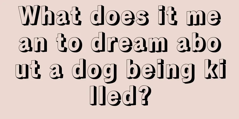 What does it mean to dream about a dog being killed?