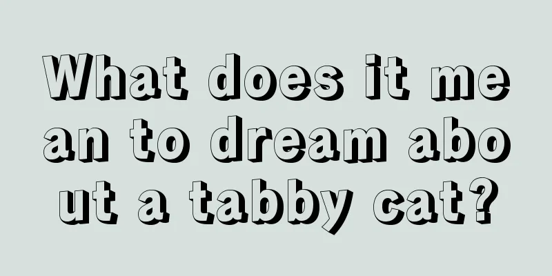 What does it mean to dream about a tabby cat?