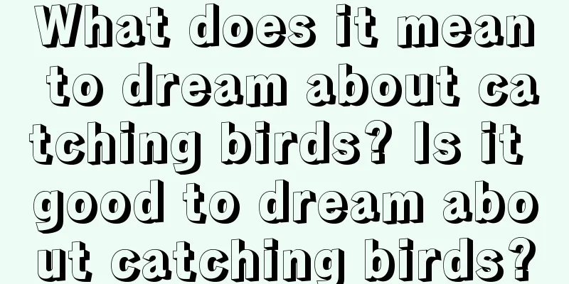 What does it mean to dream about catching birds? Is it good to dream about catching birds?