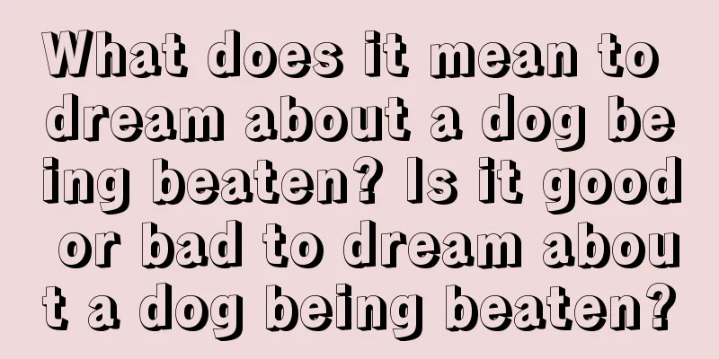 What does it mean to dream about a dog being beaten? Is it good or bad to dream about a dog being beaten?