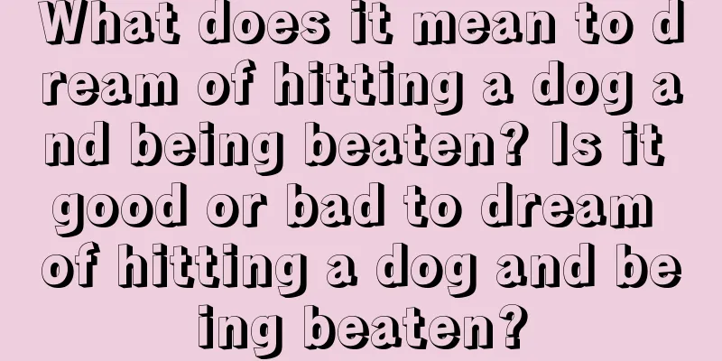 What does it mean to dream of hitting a dog and being beaten? Is it good or bad to dream of hitting a dog and being beaten?