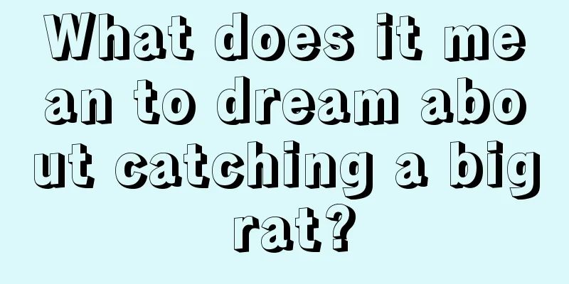 What does it mean to dream about catching a big rat?