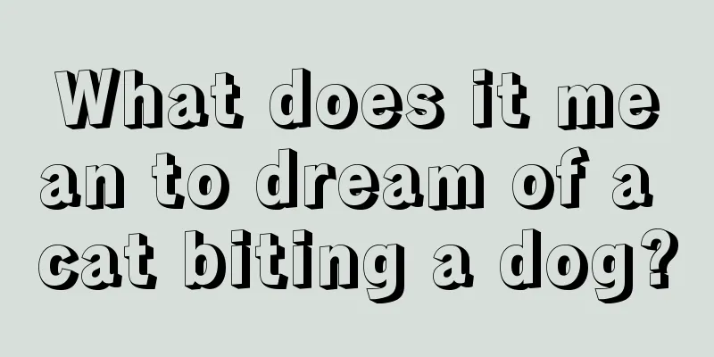 What does it mean to dream of a cat biting a dog?