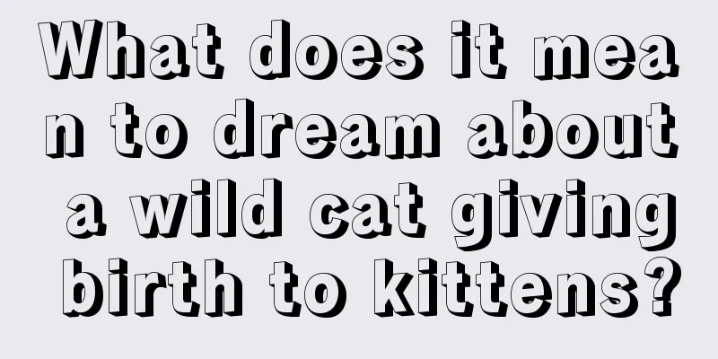 What does it mean to dream about a wild cat giving birth to kittens?