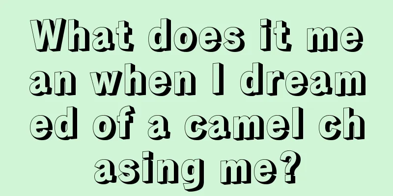 What does it mean when I dreamed of a camel chasing me?