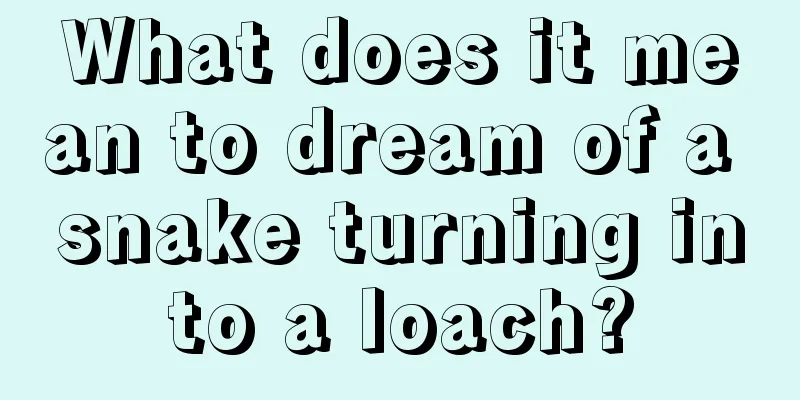 What does it mean to dream of a snake turning into a loach?