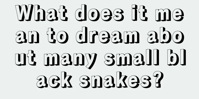 What does it mean to dream about many small black snakes?