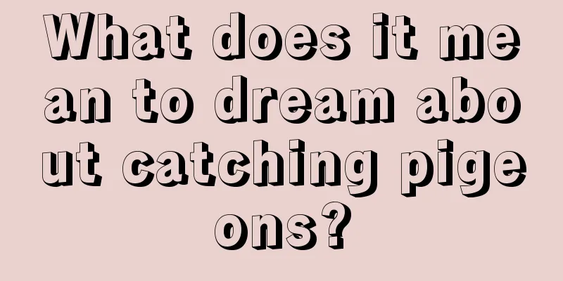 What does it mean to dream about catching pigeons?