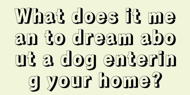 What does it mean to dream about a dog entering your home?