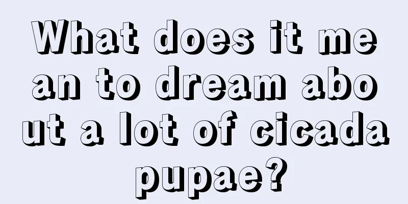 What does it mean to dream about a lot of cicada pupae?