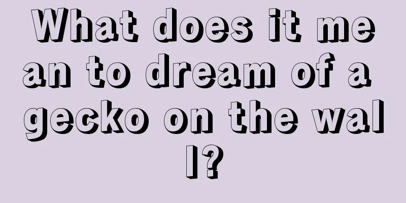 What does it mean to dream of a gecko on the wall?