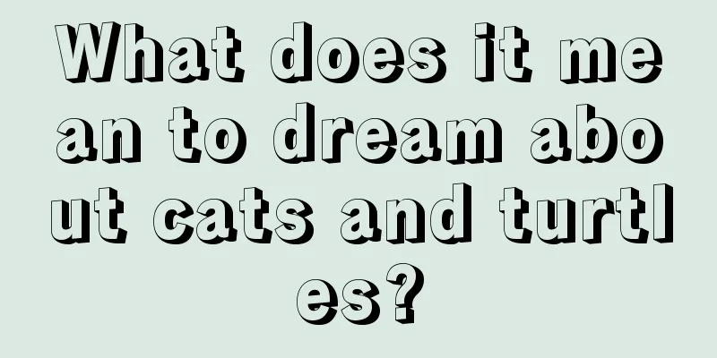 What does it mean to dream about cats and turtles?