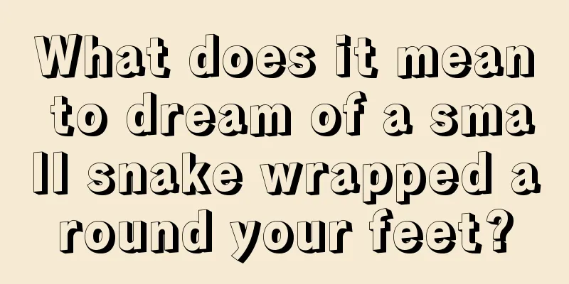 What does it mean to dream of a small snake wrapped around your feet?