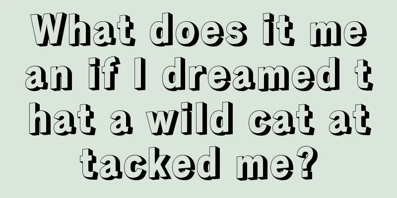 What does it mean if I dreamed that a wild cat attacked me?