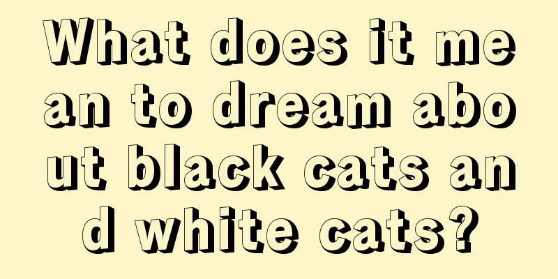 What does it mean to dream about black cats and white cats?