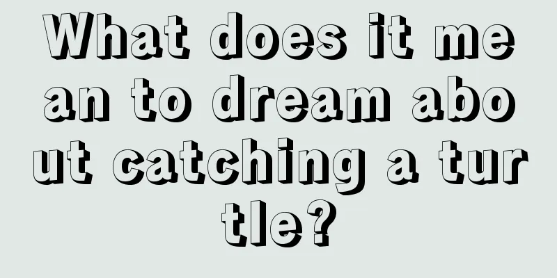 What does it mean to dream about catching a turtle?