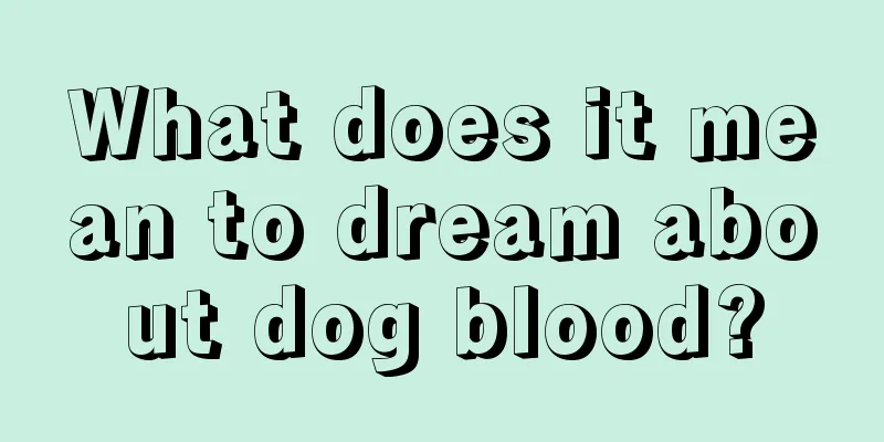 What does it mean to dream about dog blood?