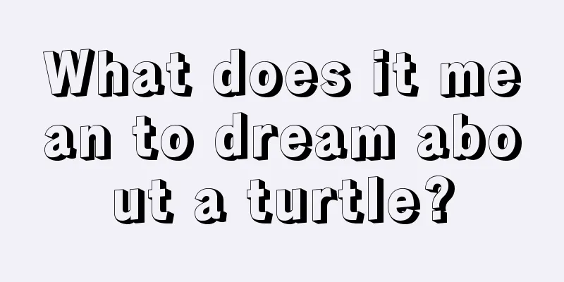 What does it mean to dream about a turtle?