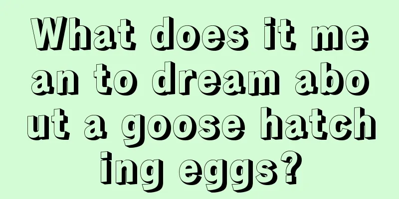 What does it mean to dream about a goose hatching eggs?