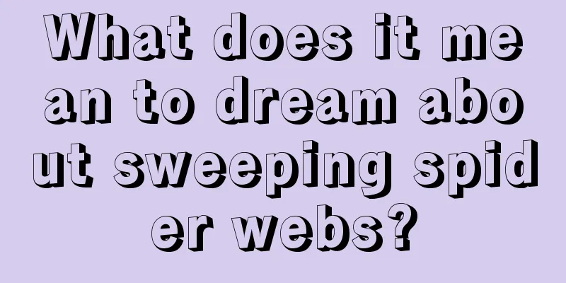 What does it mean to dream about sweeping spider webs?