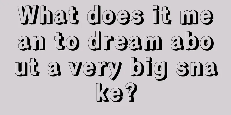 What does it mean to dream about a very big snake?