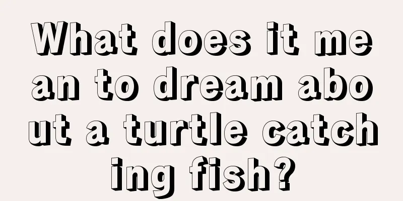 What does it mean to dream about a turtle catching fish?