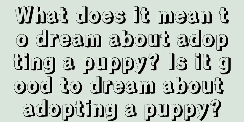 What does it mean to dream about adopting a puppy? Is it good to dream about adopting a puppy?