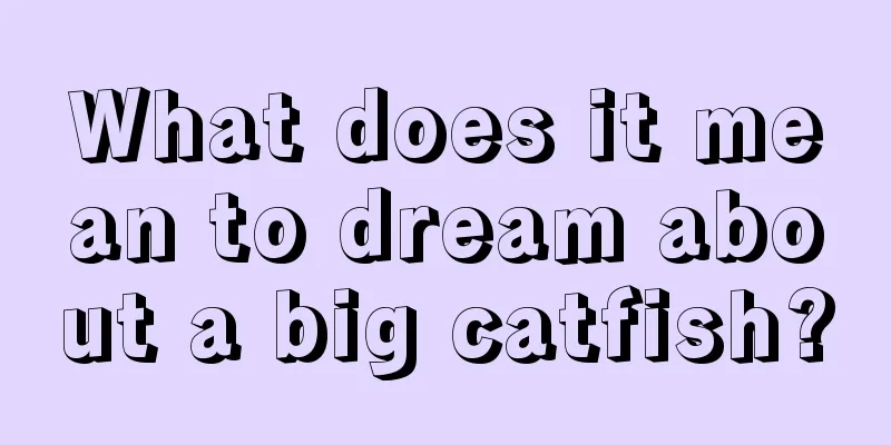 What does it mean to dream about a big catfish?