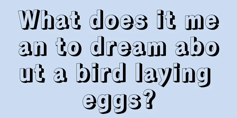 What does it mean to dream about a bird laying eggs?