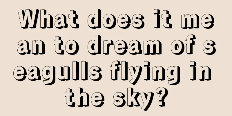 What does it mean to dream of seagulls flying in the sky?