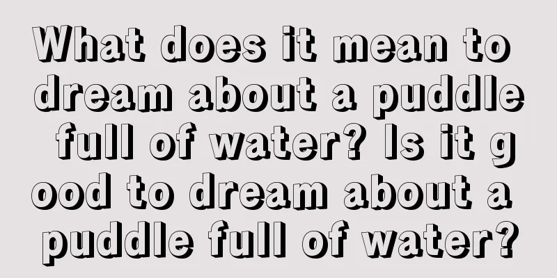 What does it mean to dream about a puddle full of water? Is it good to dream about a puddle full of water?