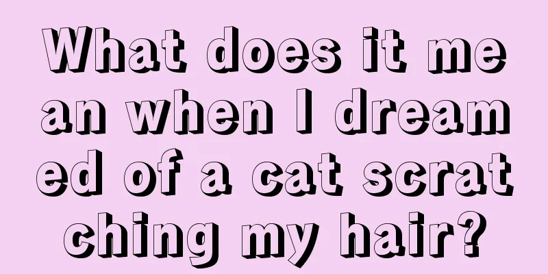 What does it mean when I dreamed of a cat scratching my hair?