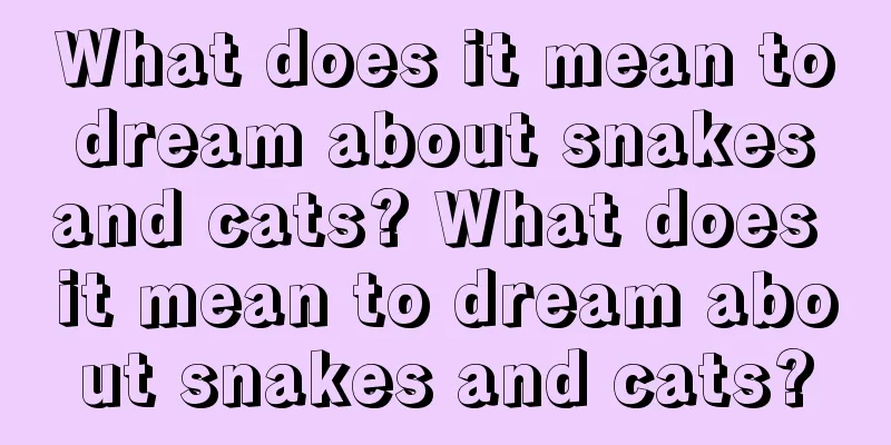 What does it mean to dream about snakes and cats? What does it mean to dream about snakes and cats?