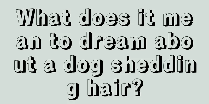 What does it mean to dream about a dog shedding hair?