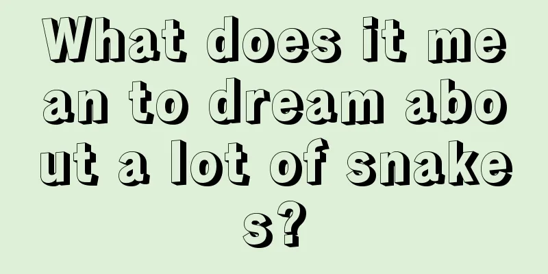 What does it mean to dream about a lot of snakes?