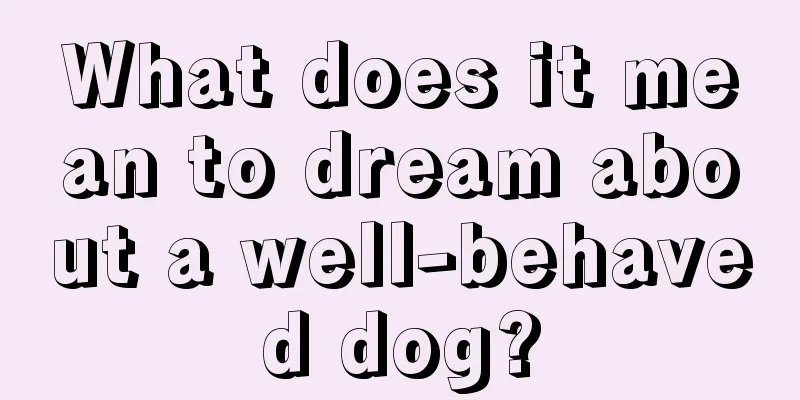 What does it mean to dream about a well-behaved dog?