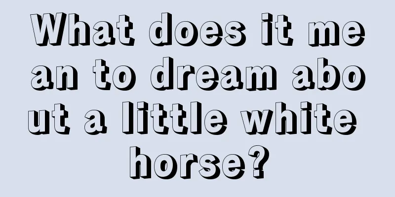 What does it mean to dream about a little white horse?