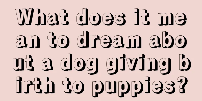 What does it mean to dream about a dog giving birth to puppies?