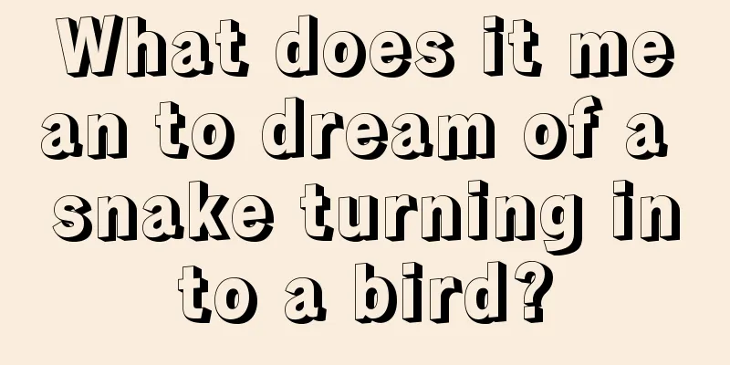 What does it mean to dream of a snake turning into a bird?