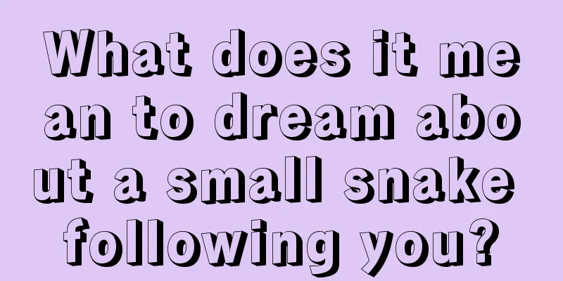 What does it mean to dream about a small snake following you?