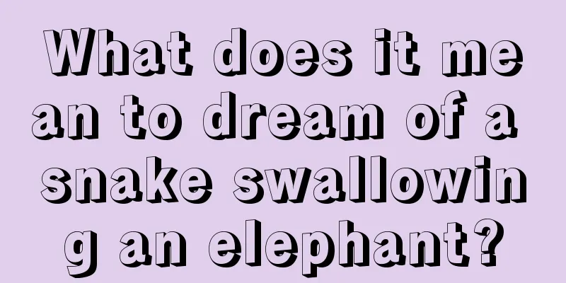 What does it mean to dream of a snake swallowing an elephant?