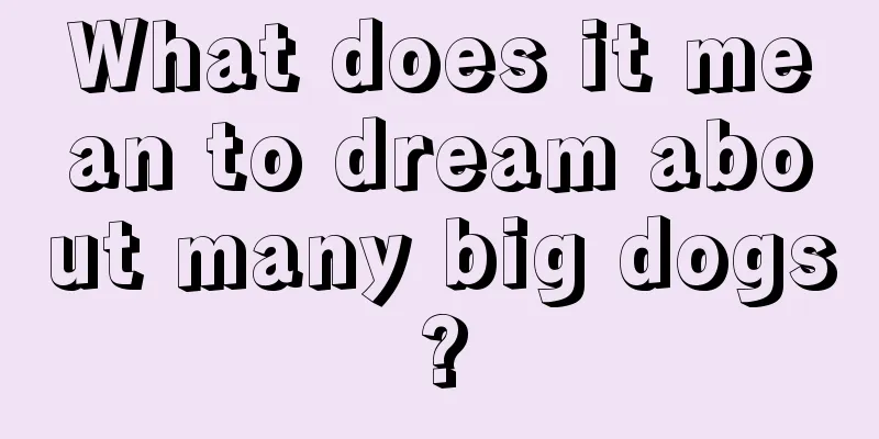 What does it mean to dream about many big dogs?