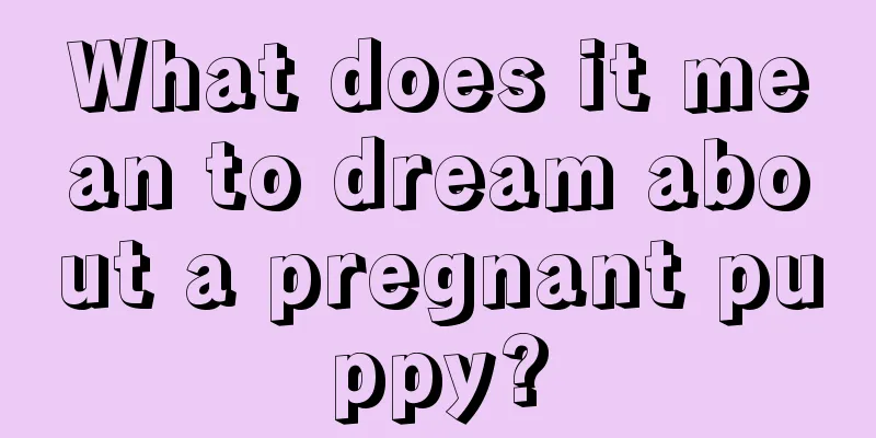 What does it mean to dream about a pregnant puppy?