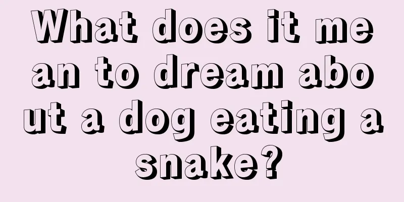 What does it mean to dream about a dog eating a snake?