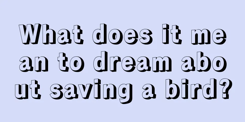 What does it mean to dream about saving a bird?