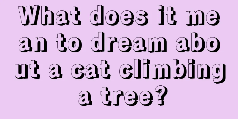 What does it mean to dream about a cat climbing a tree?